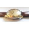 Omega AWW-699