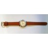 Citizen Para Water AWW-761
