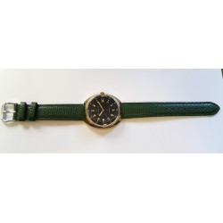 Vostok AWW-786