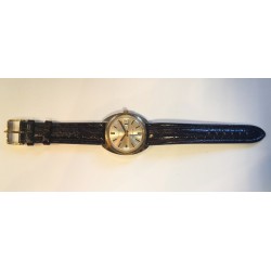 Timex AWW-841