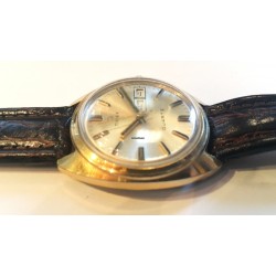 Timex AWW-841