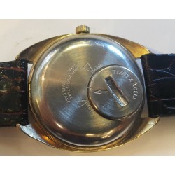 Timex AWW-841