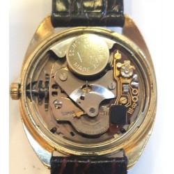 Timex AWW-841