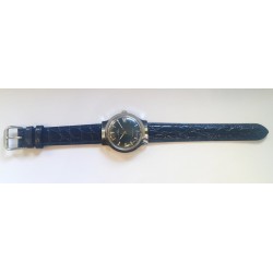 Timex AWW-842