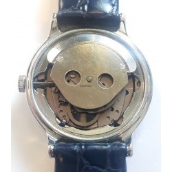 Timex AWW-842