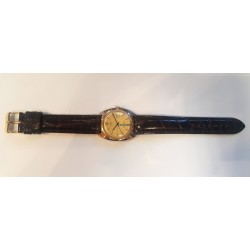 Timex AWW-843