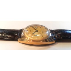 Timex AWW-843