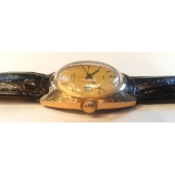 Timex AWW-843