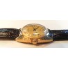 Timex AWW-843