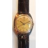Timex AWW-843