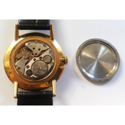 Vostok AWW-789