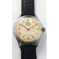 Sportivnie AWW-604