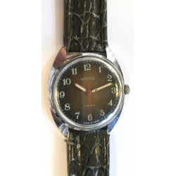 Vostok AWW-570