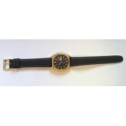Seiko AWW-873