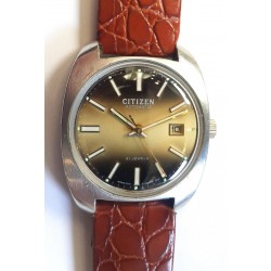 Citizen AWW-886