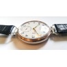 Zenith AWW-906