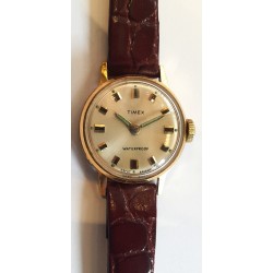 Timex AWW-984