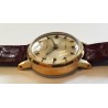 Timex AWW-984