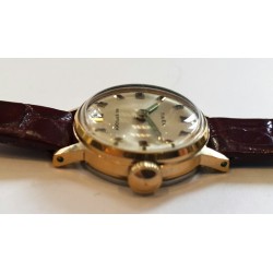 Timex AWW-984
