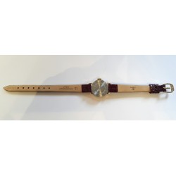 Timex AWW-984