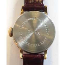 Timex AWW-984