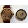 Timex AWW-984