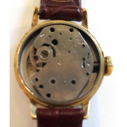 Timex AWW-984