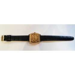 Raketa AWW-991