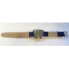 Wostok AWW-1009