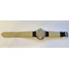 Vostok AWW-579