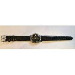 Swiss AWW-1081