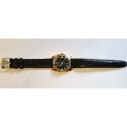 Vostok AWW-516