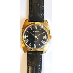 Vostok AWW-516