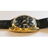 Vostok AWW-516