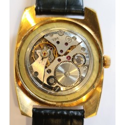 Vostok AWW-516