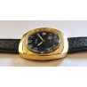 Vostok AWW-1121