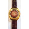 Vostok AWW-582