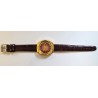 Vostok AWW-582