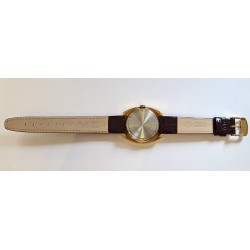 Vostok AWW-582