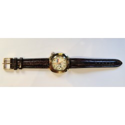 Vostok AWW-461