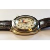 Vostok AWW-461