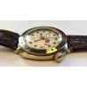 Vostok AWW-461