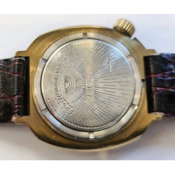 Vostok AWW-461