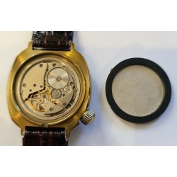 Vostok AWW-461