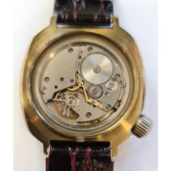 Vostok AWW-461