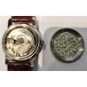 Glycine AWW-497