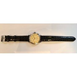 Omega AWW-1173