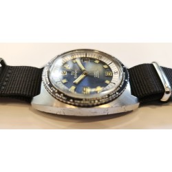 TD Expert AWW-429