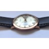 Seiko AWW-1236