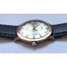 Seiko AWW-1236